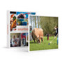 Voir la diapositive 1 : Smartbox Golf au milieu de la nature et des animaux pour 3 en Normandie - Coffret Cadeau Sport & Aventure
