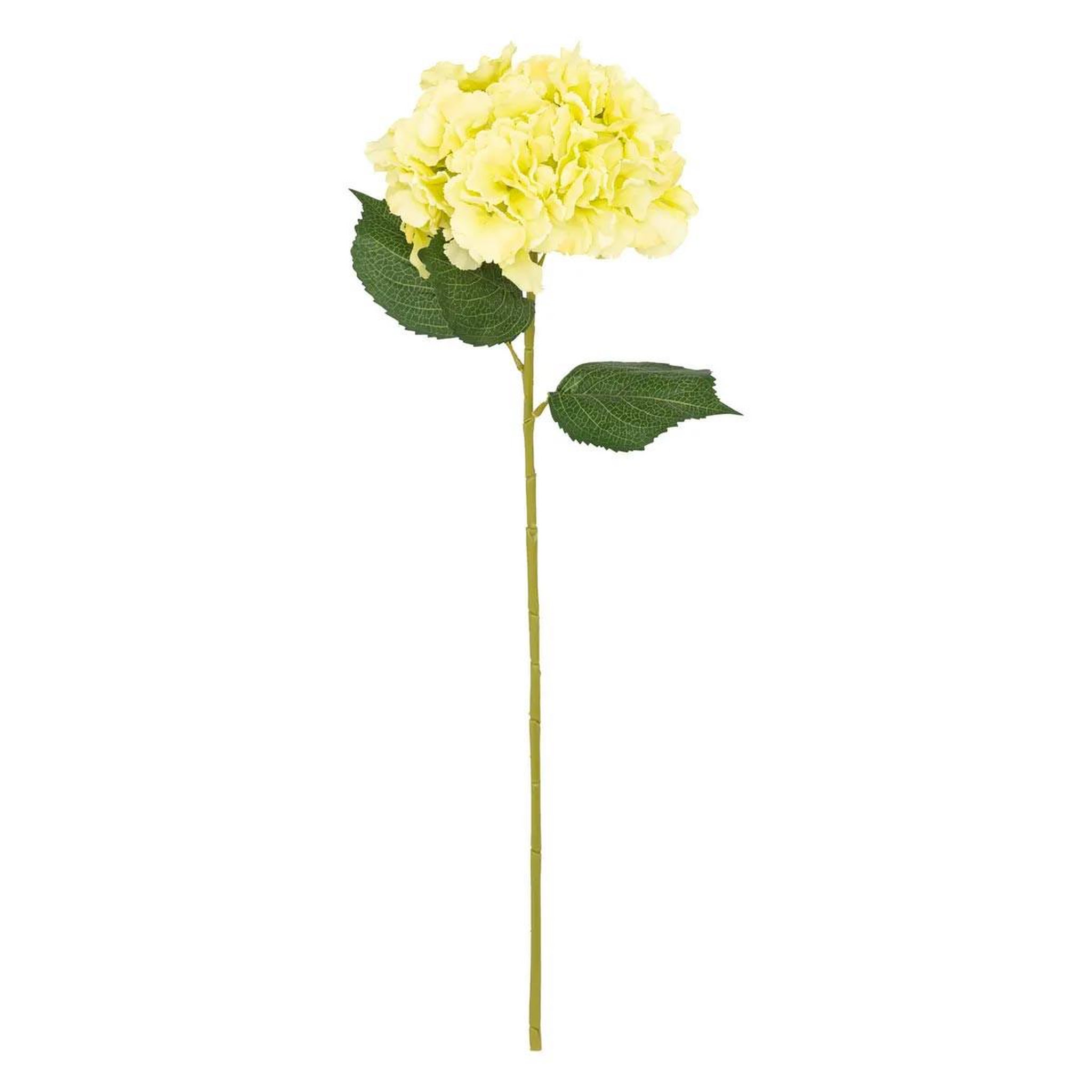ATMOSPHERA Tige hortensia artificielle  serata  83cm vert clair