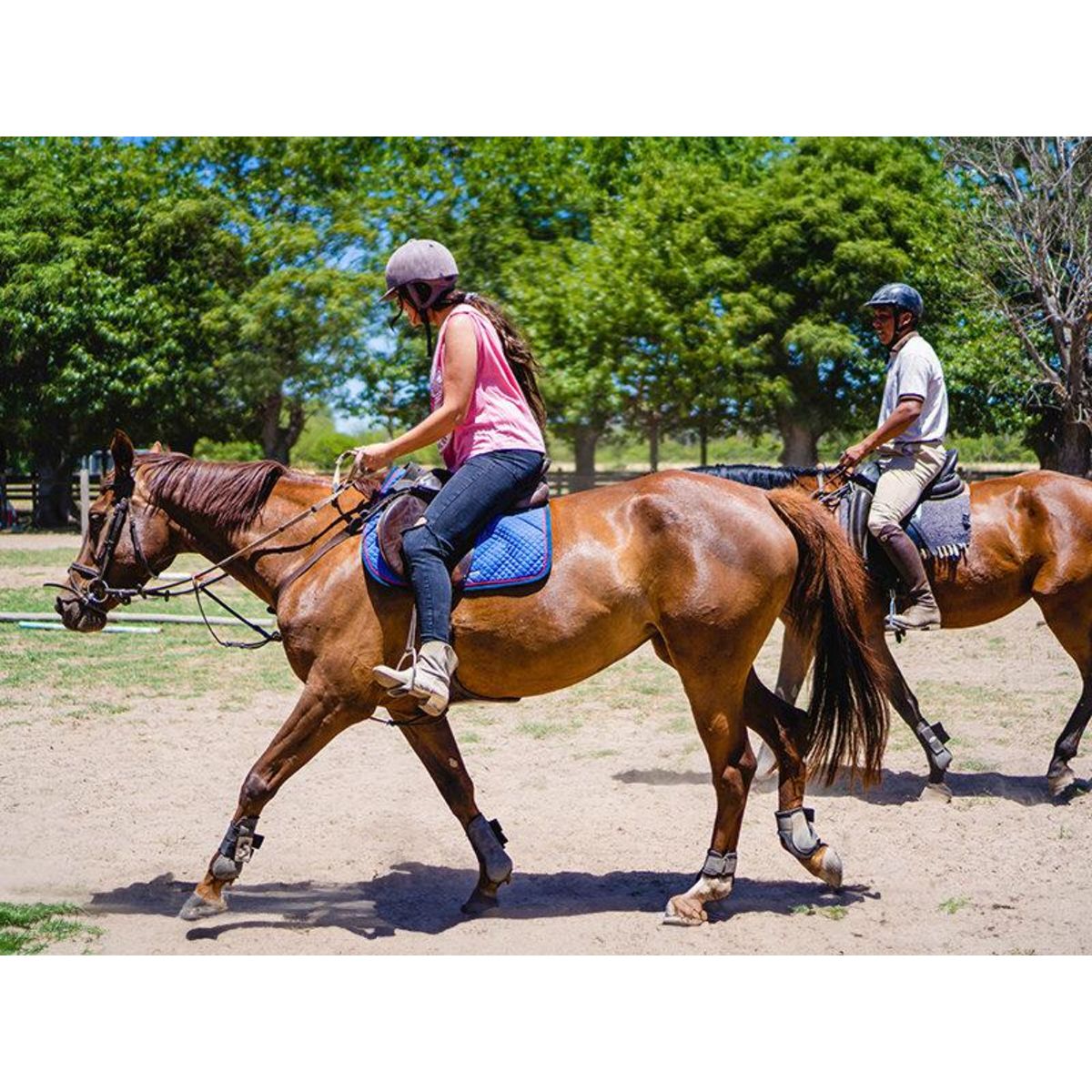 Smartbox Noël évasion : saveurs, détente ou adrénaline - Coffret Cadeau Multi-thèmes