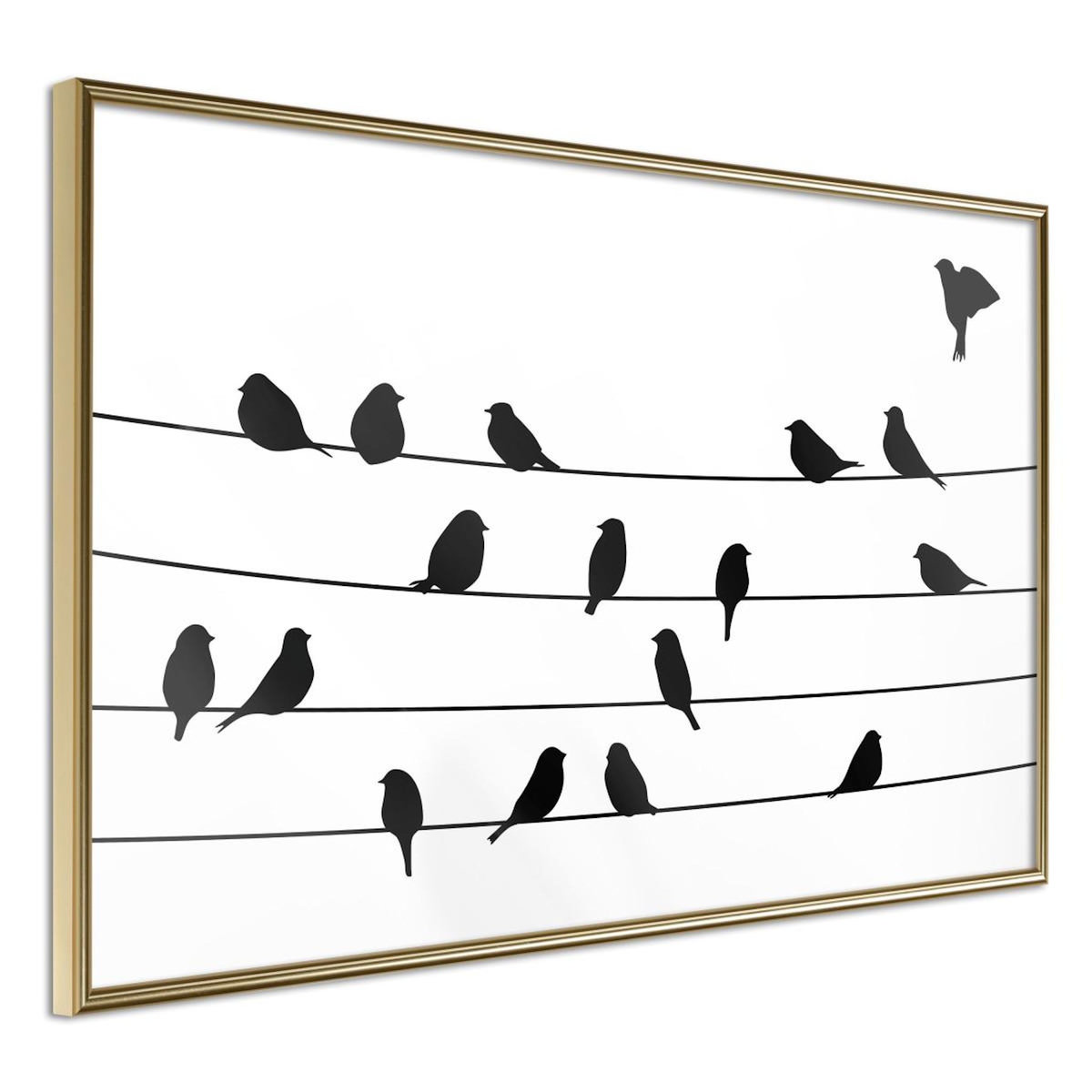 Paris Prix Affiche Murale Encadrée  Birds Council Meeting