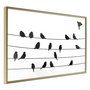 Voir la diapositive 1 : Paris Prix Affiche Murale Encadrée  Birds Council Meeting