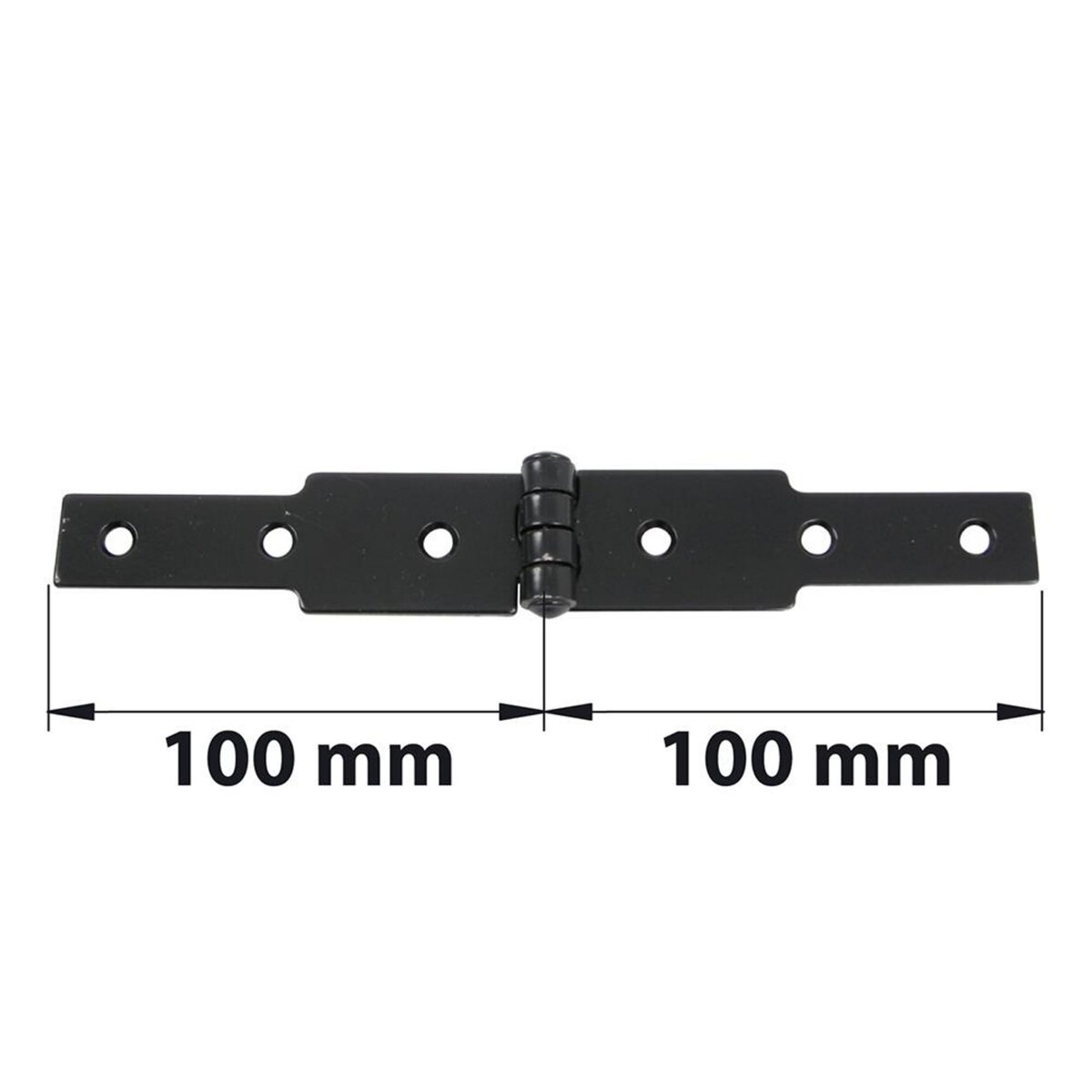 CENTRALE BRICO Charnière à congé acier pour volets battants, L.30 x l.100 mm