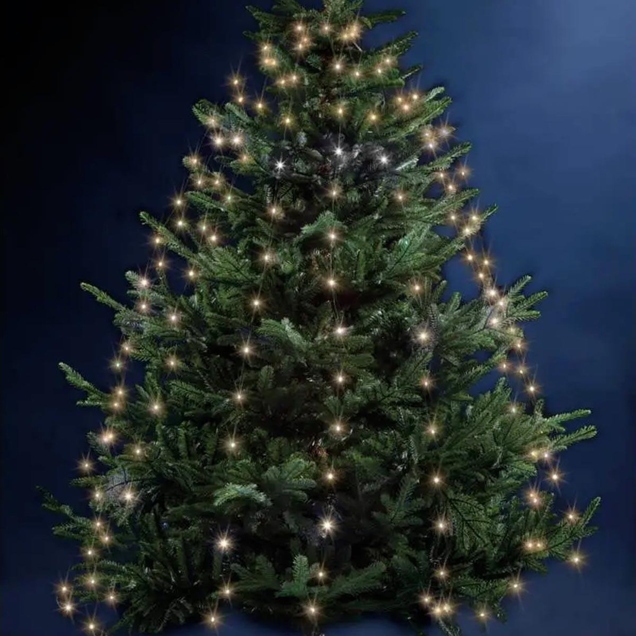 FEERIC LIGHT & CHRISTMAS Guirlande de noël  copp pluie  165cm blanc chaud