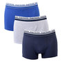 Voir la diapositive 2 : SERGIO TACCHINI Boxer SERGIO TACCHINI