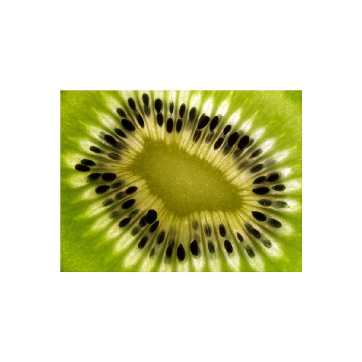Paris Prix Papier Peint  Fruits : Kiwi