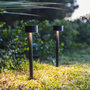 Voir la diapositive 2 : Lumisky 2 balises solaires à piquer FORTY Noir Acier H30cm