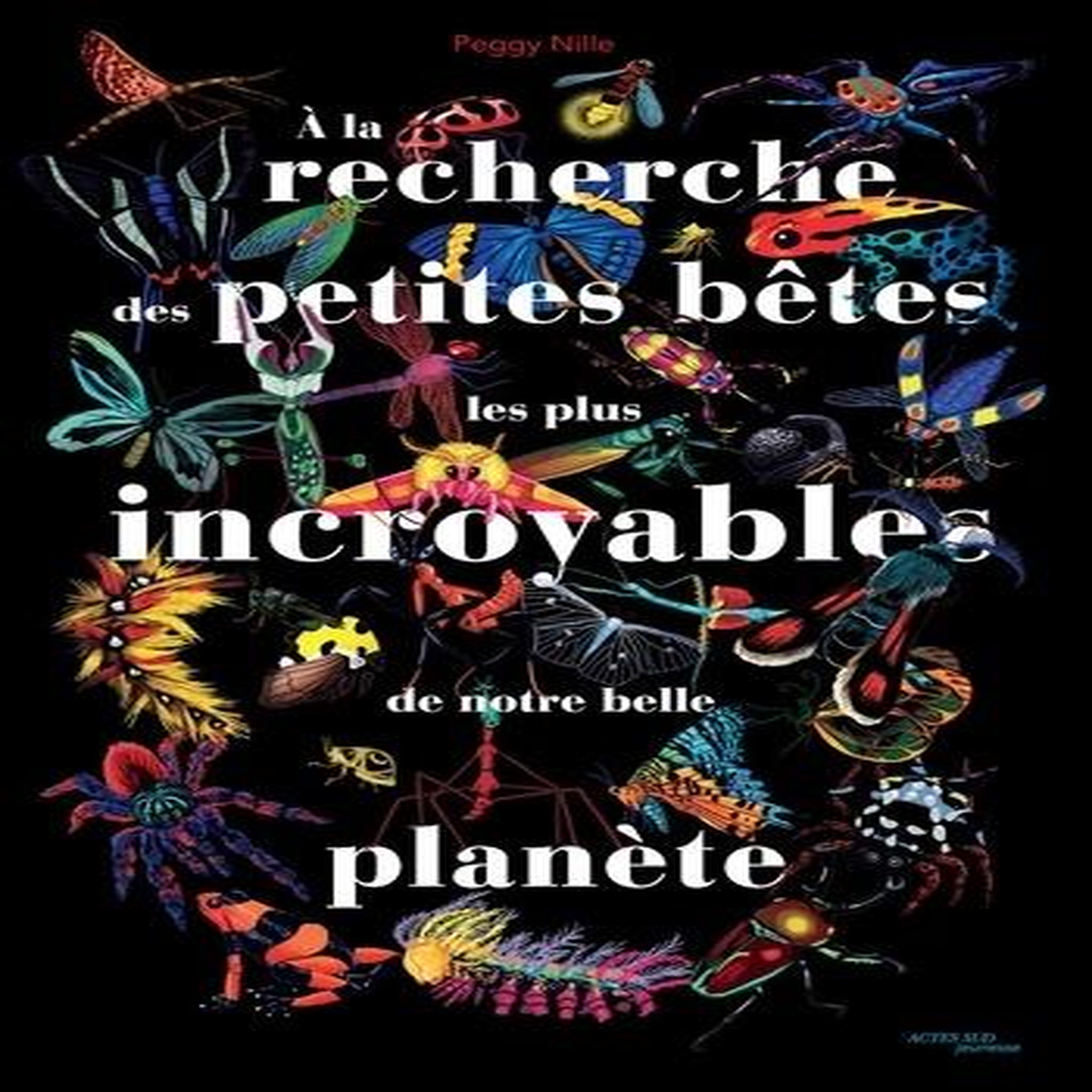 A LA RECHERCHE DES PETITES BETES LES PLUS INCROYABLES DE NOTRE BELLE PLANETE, Nille Peggy