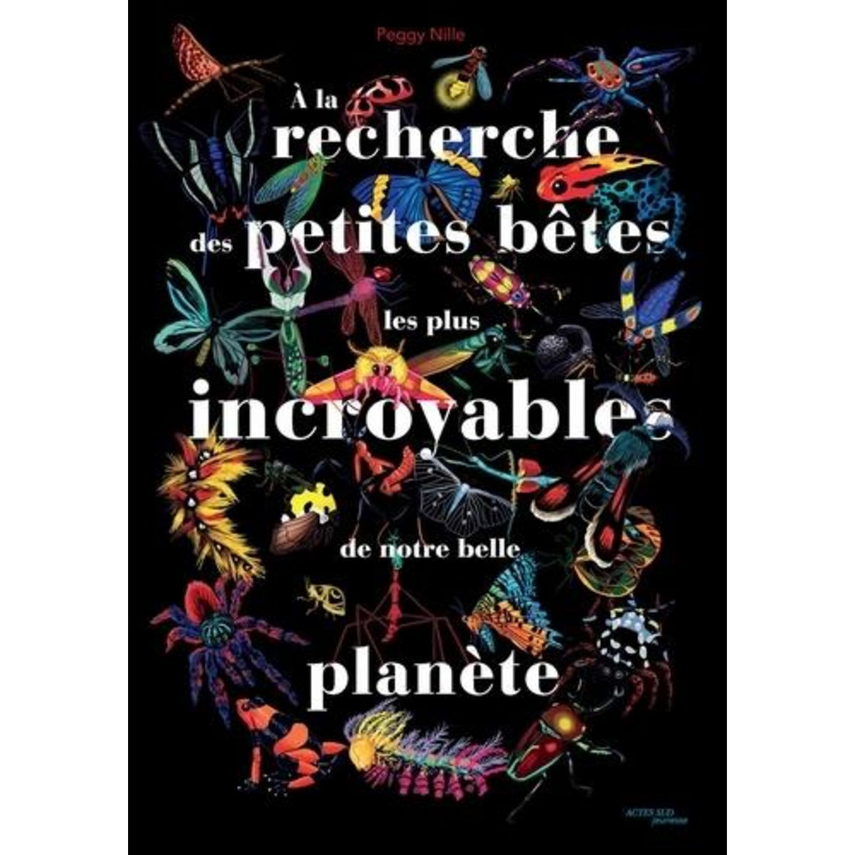 A LA RECHERCHE DES PETITES BETES LES PLUS INCROYABLES DE NOTRE BELLE PLANETE, Nille Peggy