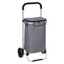 Voir la diapositive 1 : FIVE Chariot de marché isotherme 2 roues capacité 40L - Gris