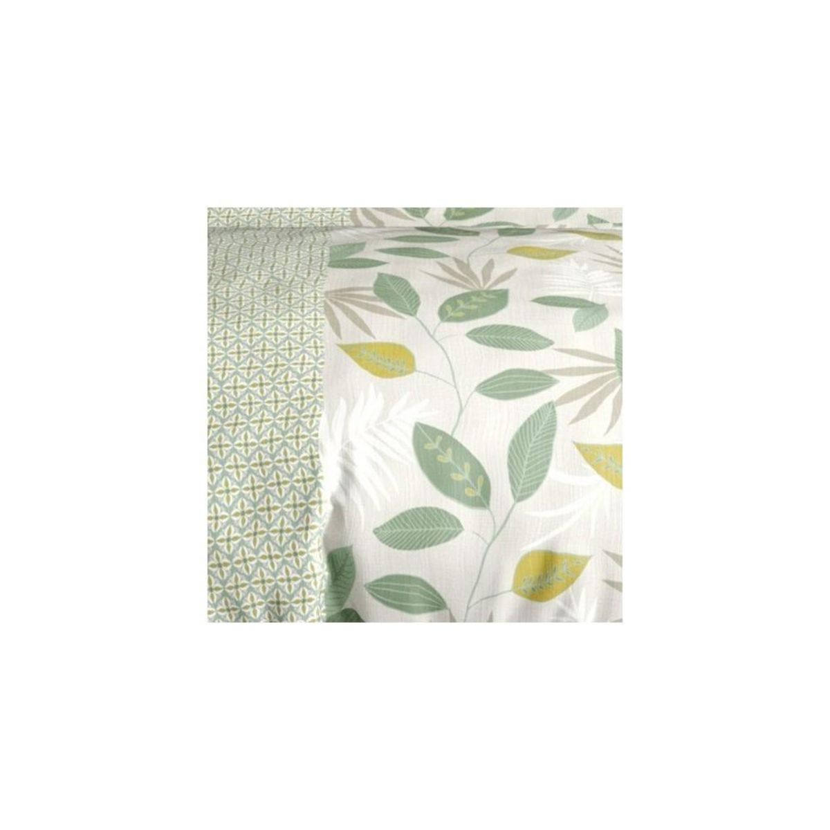 ATELIER DU COTON Housse de couette 240x220 ARECA + 2 taies coton 57 fils