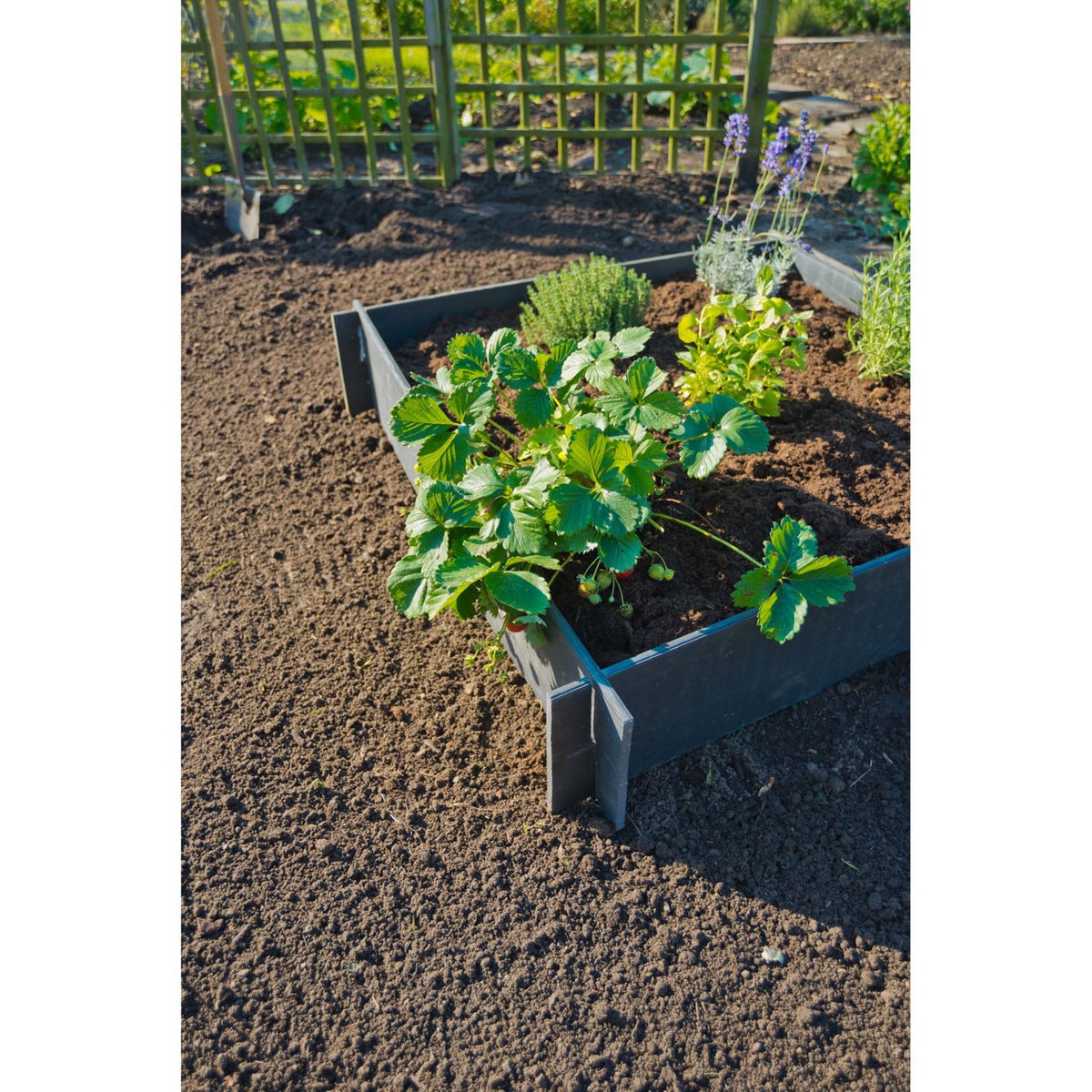 Nature Carré potager en PVC recyclé - épaisseur 10mm