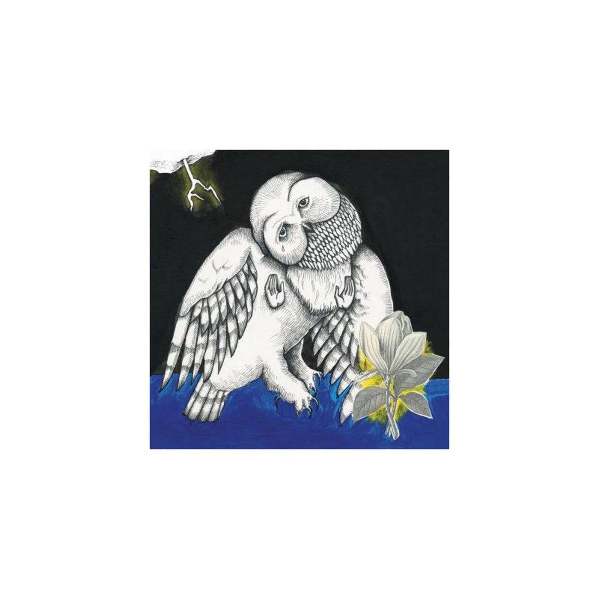 Magnolia electric co 10 year