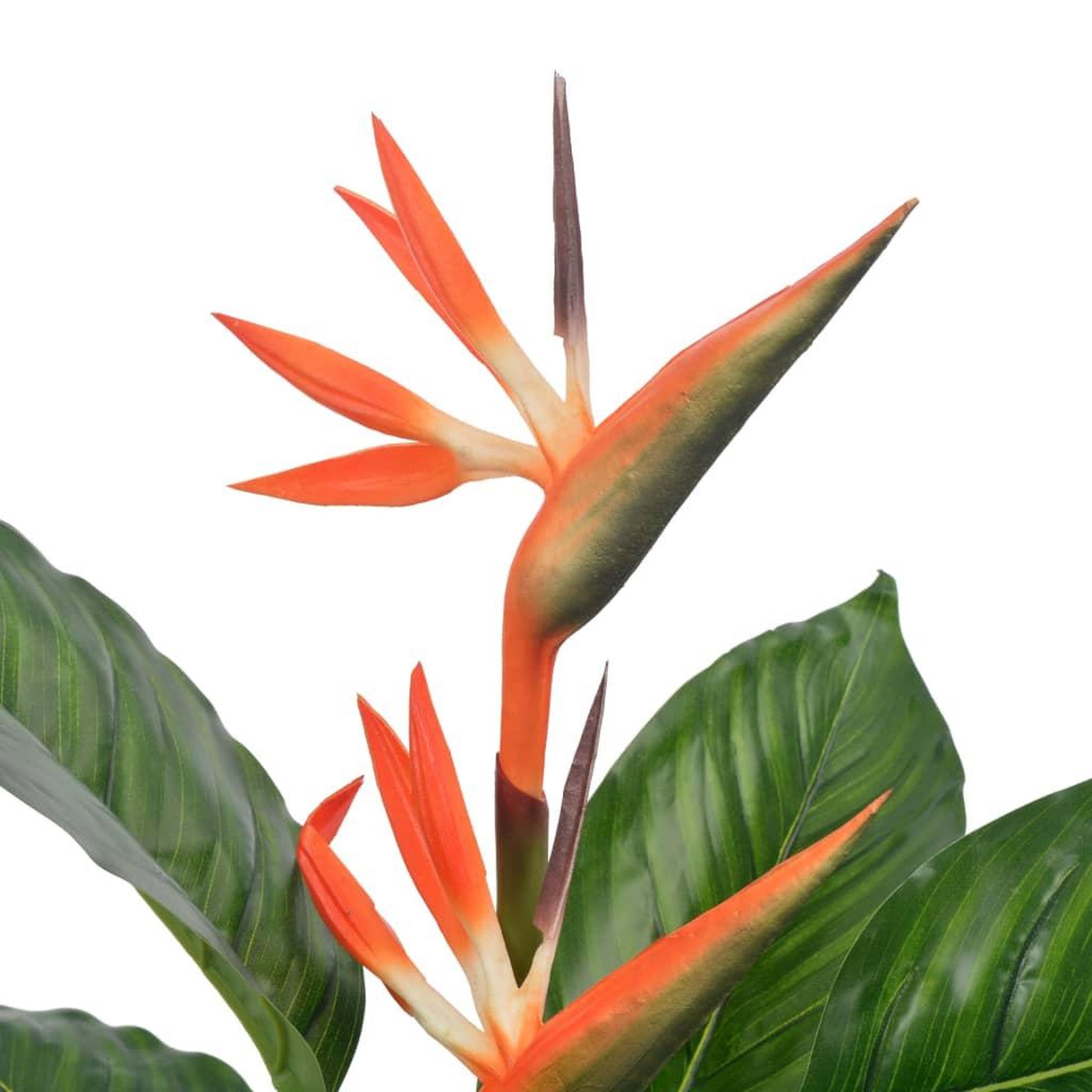 Voir la diapositive 2 : VIDAXL Plante artificielle strelitzia avec pot rouge 100 cm