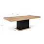 Voir la diapositive 7 : Table de séjour salle à manger extensible L160/200 cm TINA