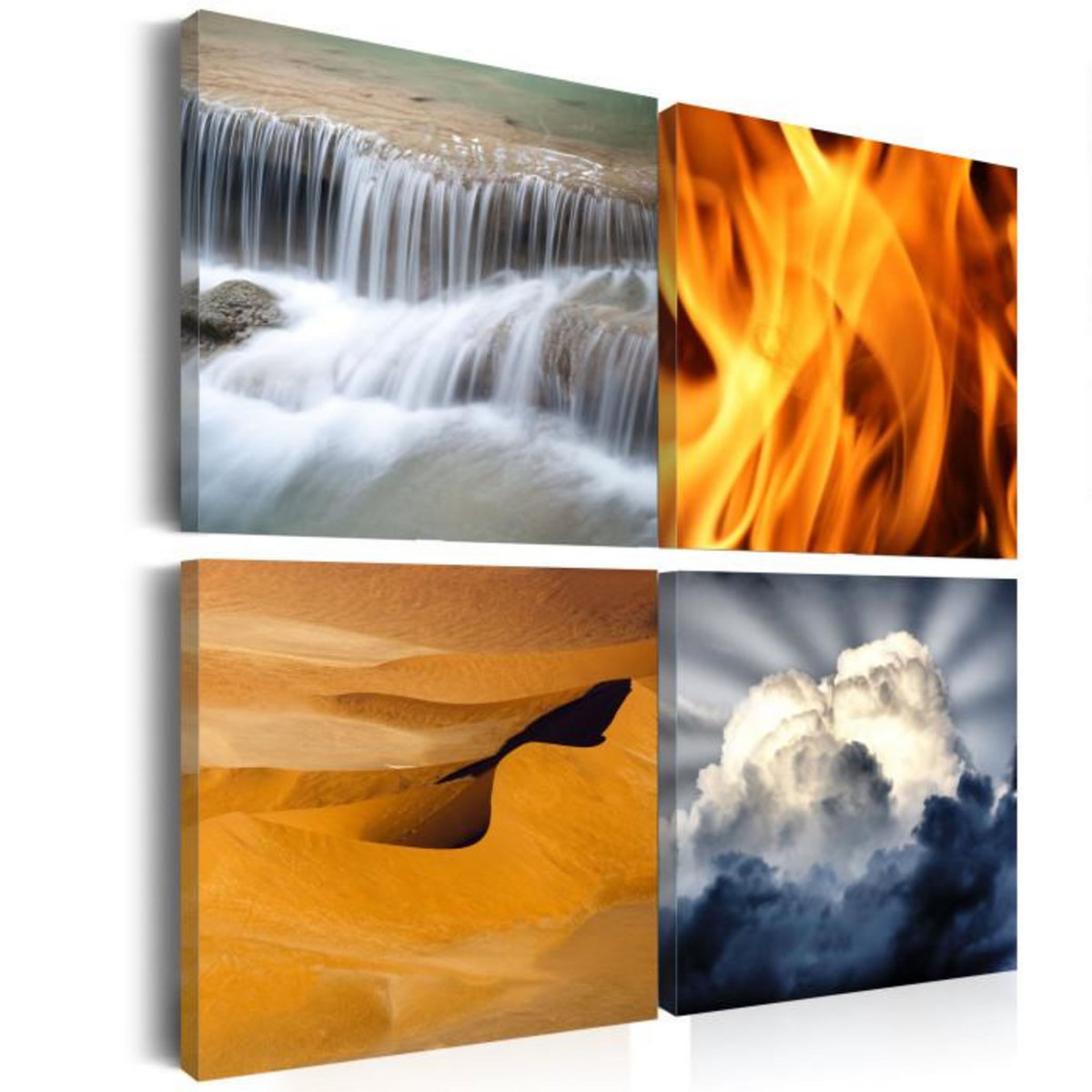 Paris Prix Tableau Imprimé  Diversité de la Nature