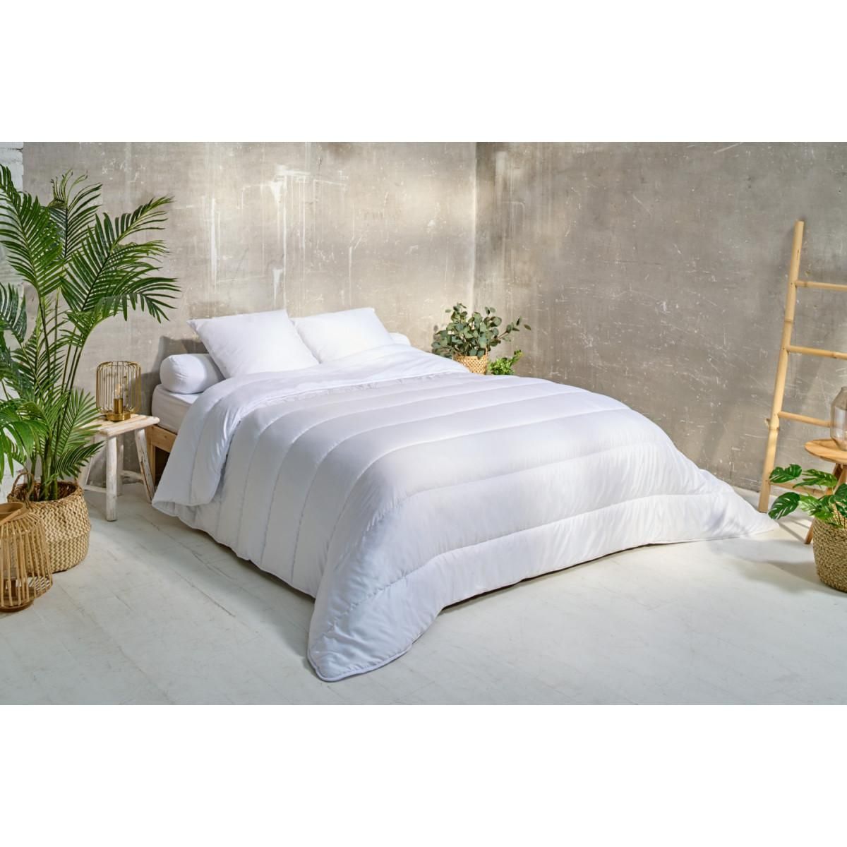 ATELIERS DU NORD Lot de 2 Oreillers Volume Moelleux