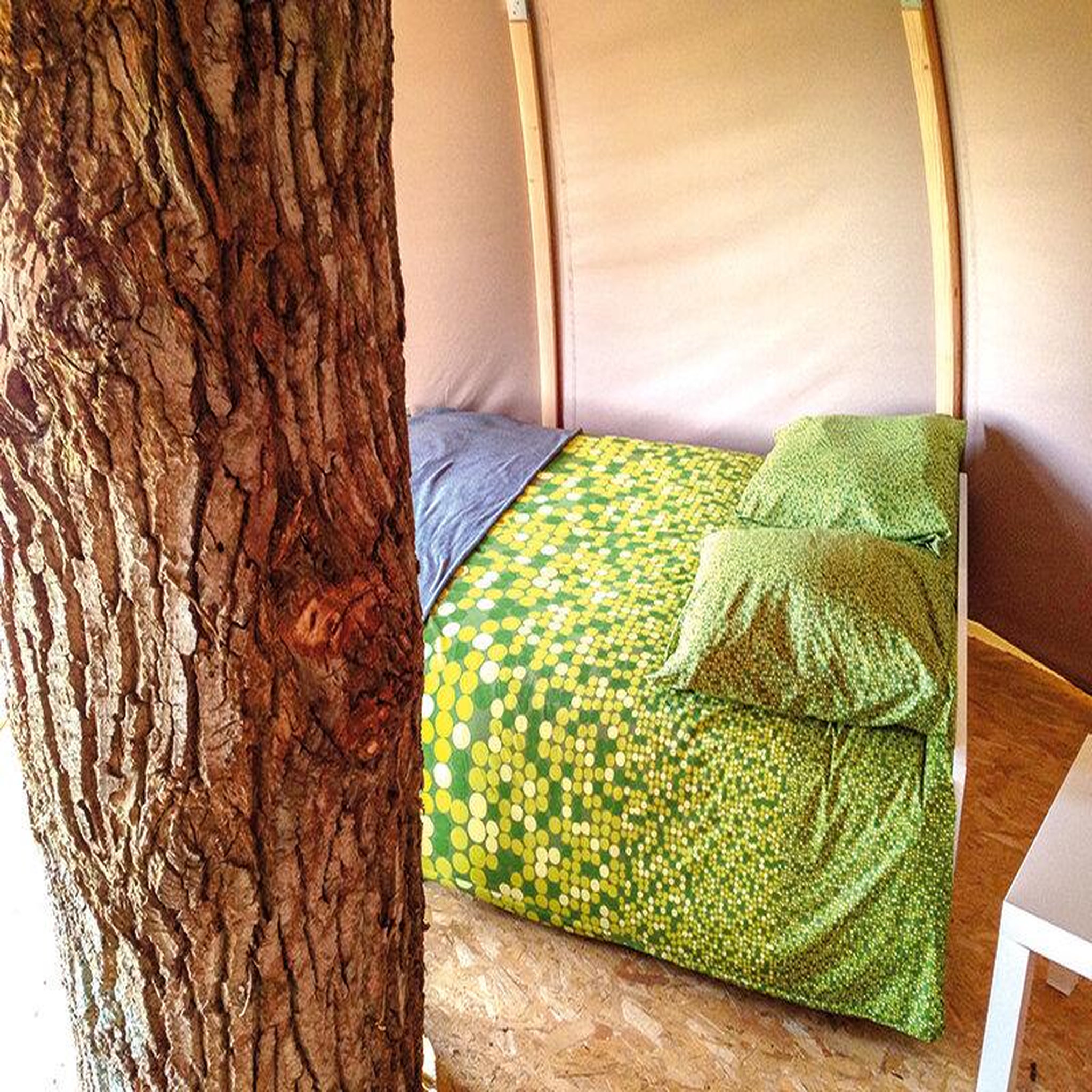 Voir la diapositive 2 : Smartbox Escapade insolite en cabane dans les arbres en normandie - coffret cadeau séjour