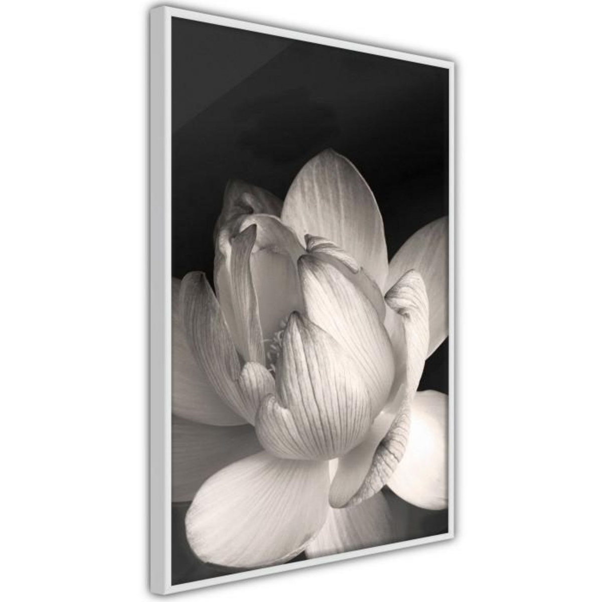 Paris Prix Affiche Murale Encadrée  Delicacy of a Flower