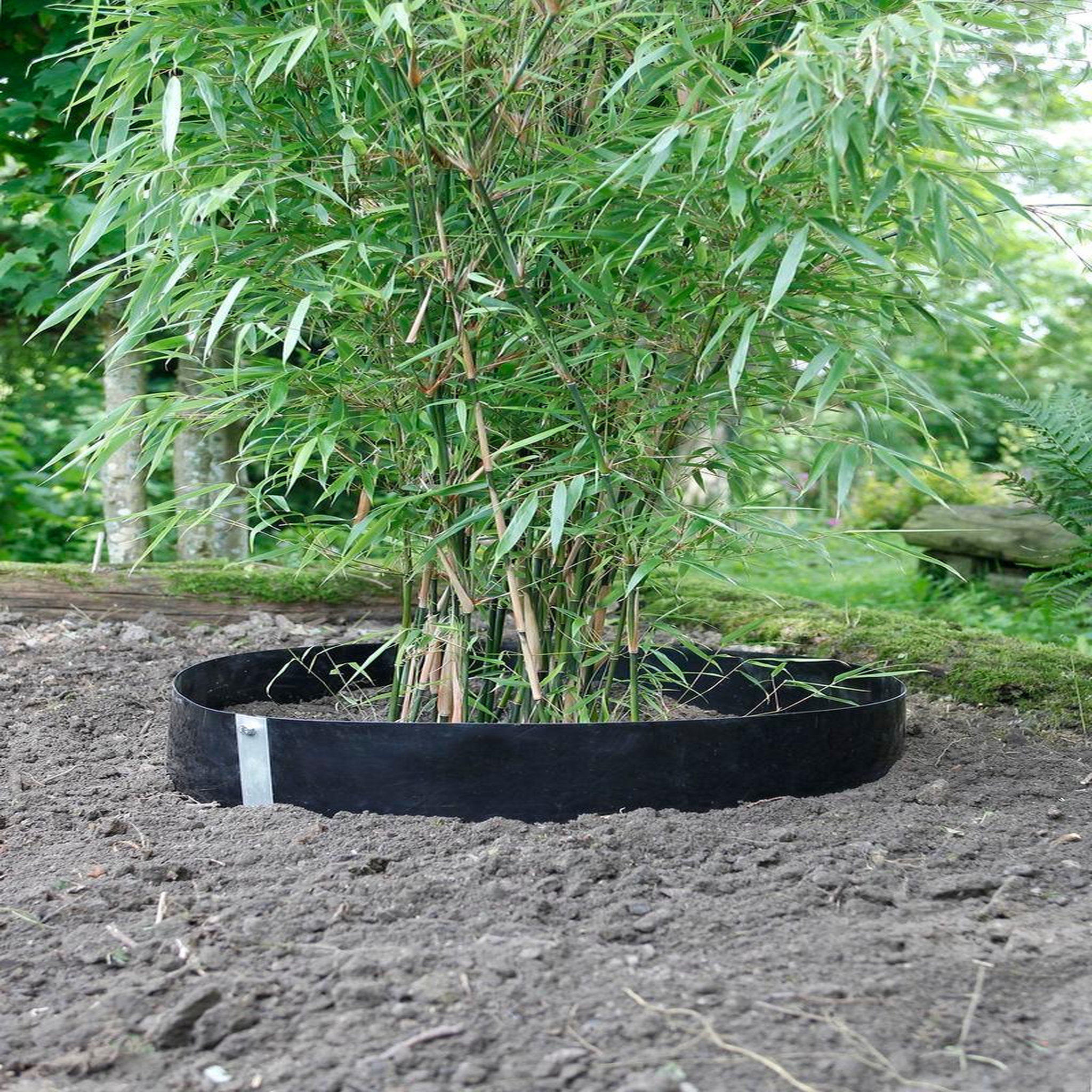 Nortene Barrière anti-racines et rhizomes  Stop-R BAR  - 0,60  x 10 m