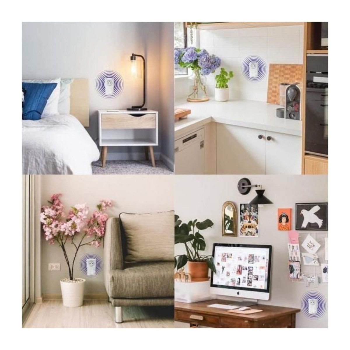 Strong Kit CPL - STRONG - CPL 600 Pack de 3 - 600 MB - Prise Filtrée, 3 Adaptateurs, Triple Pack