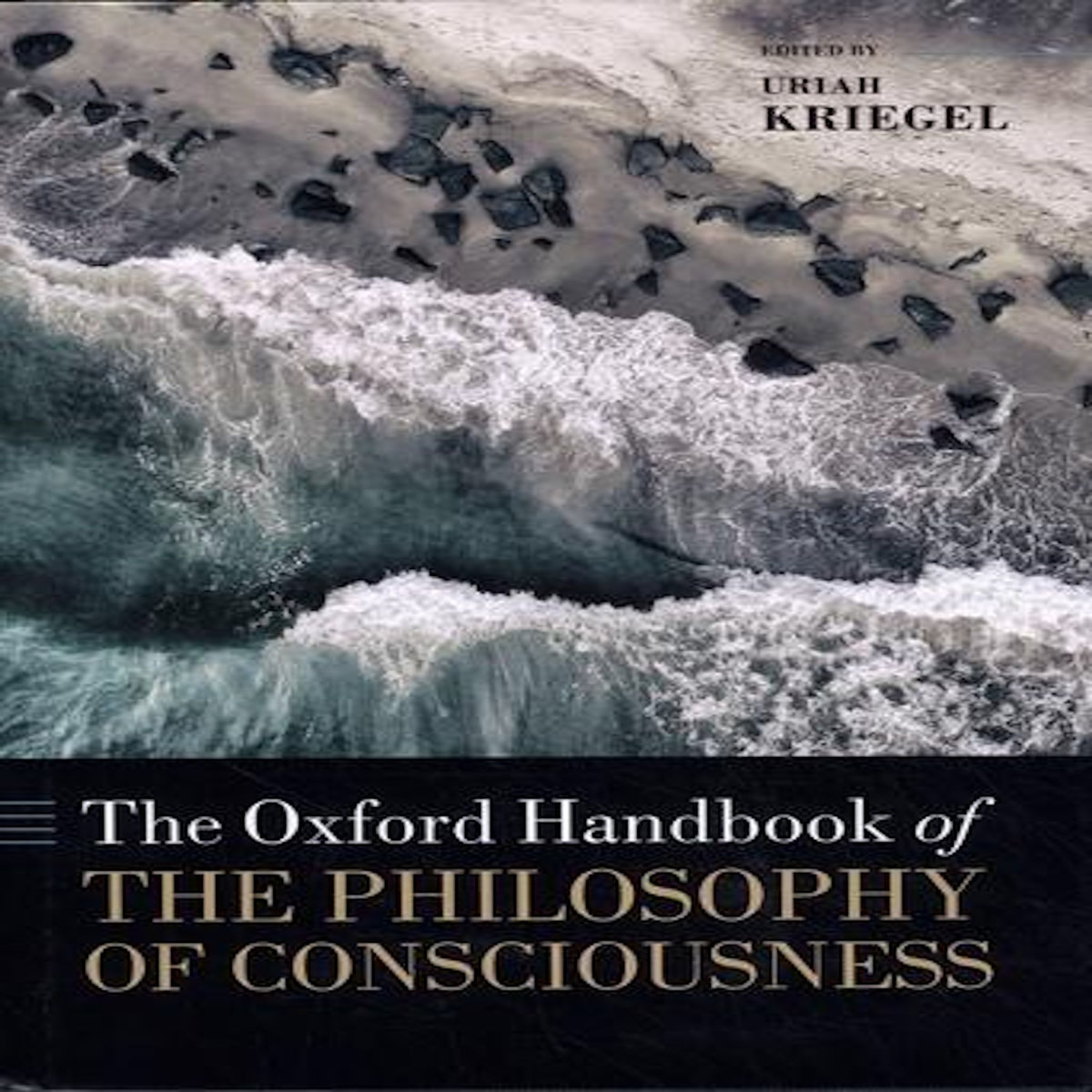 THE OXFORD HANDBOOK OF THE PHILOSOPHY OF CONSCIOUSNESS. EDITION EN ANGLAIS, Kriegel Uriah