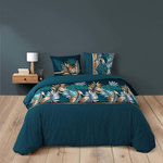 Douceur d'Intérieur Housse de couette 260x240cm + 2 taies ALIANOR 100% coton