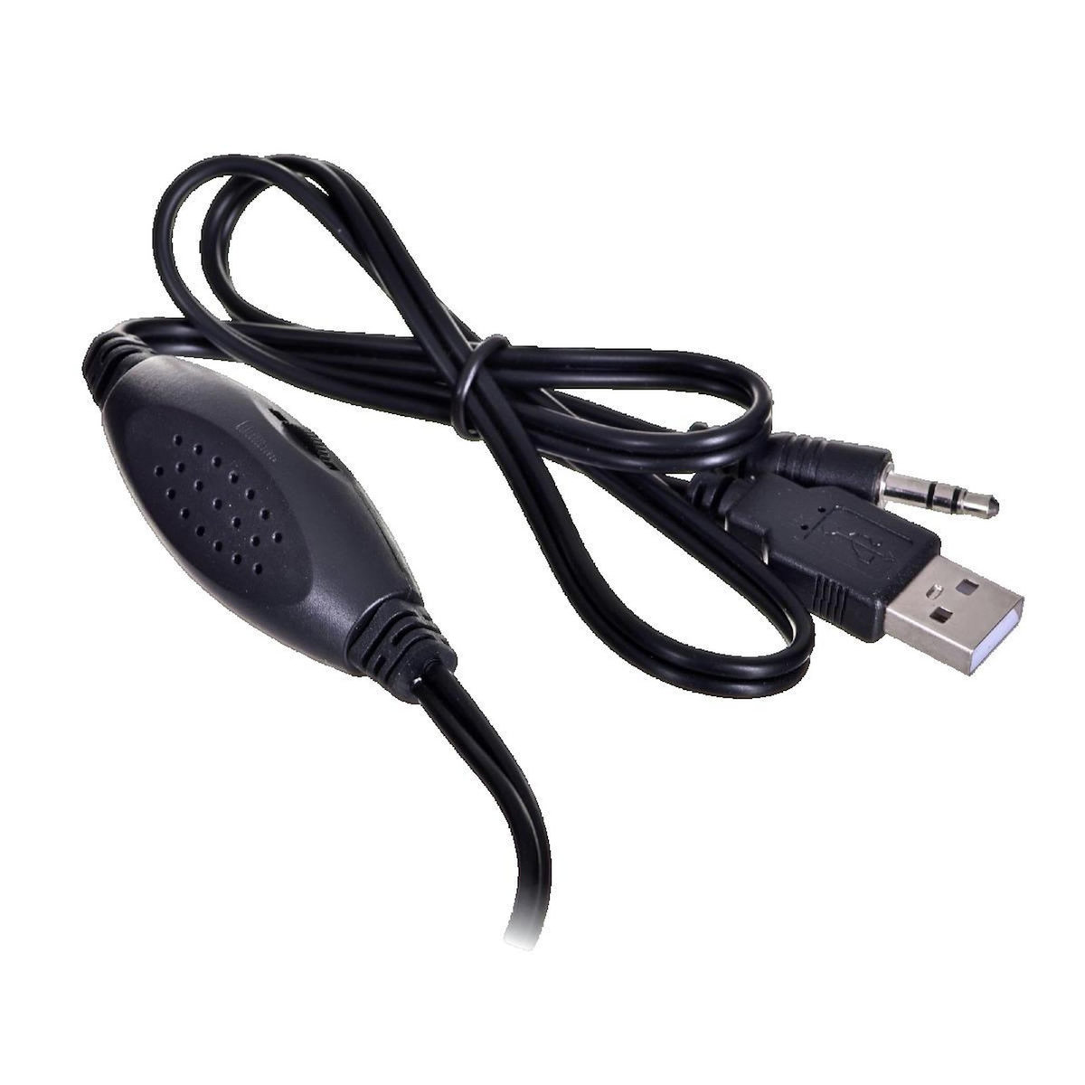 ESPERANZA Enceintes PC Esperanza EP122 FOLK Bois