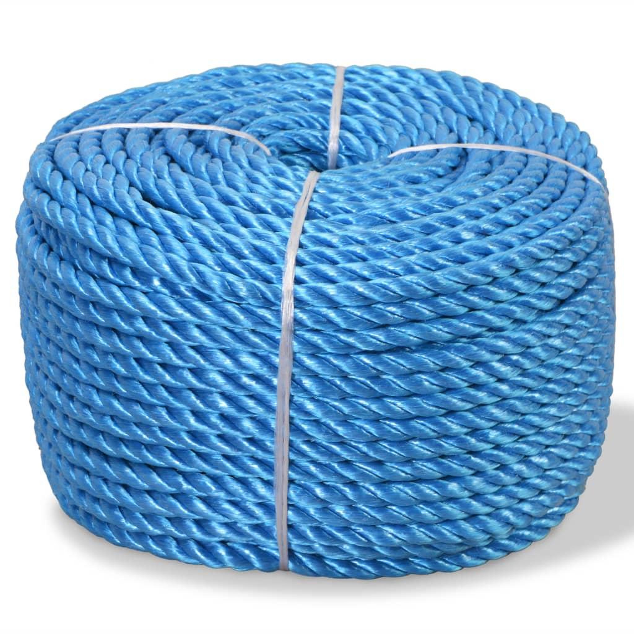 VIDAXL Corde torsadee Polypropylene 12 mm 100 m Bleu