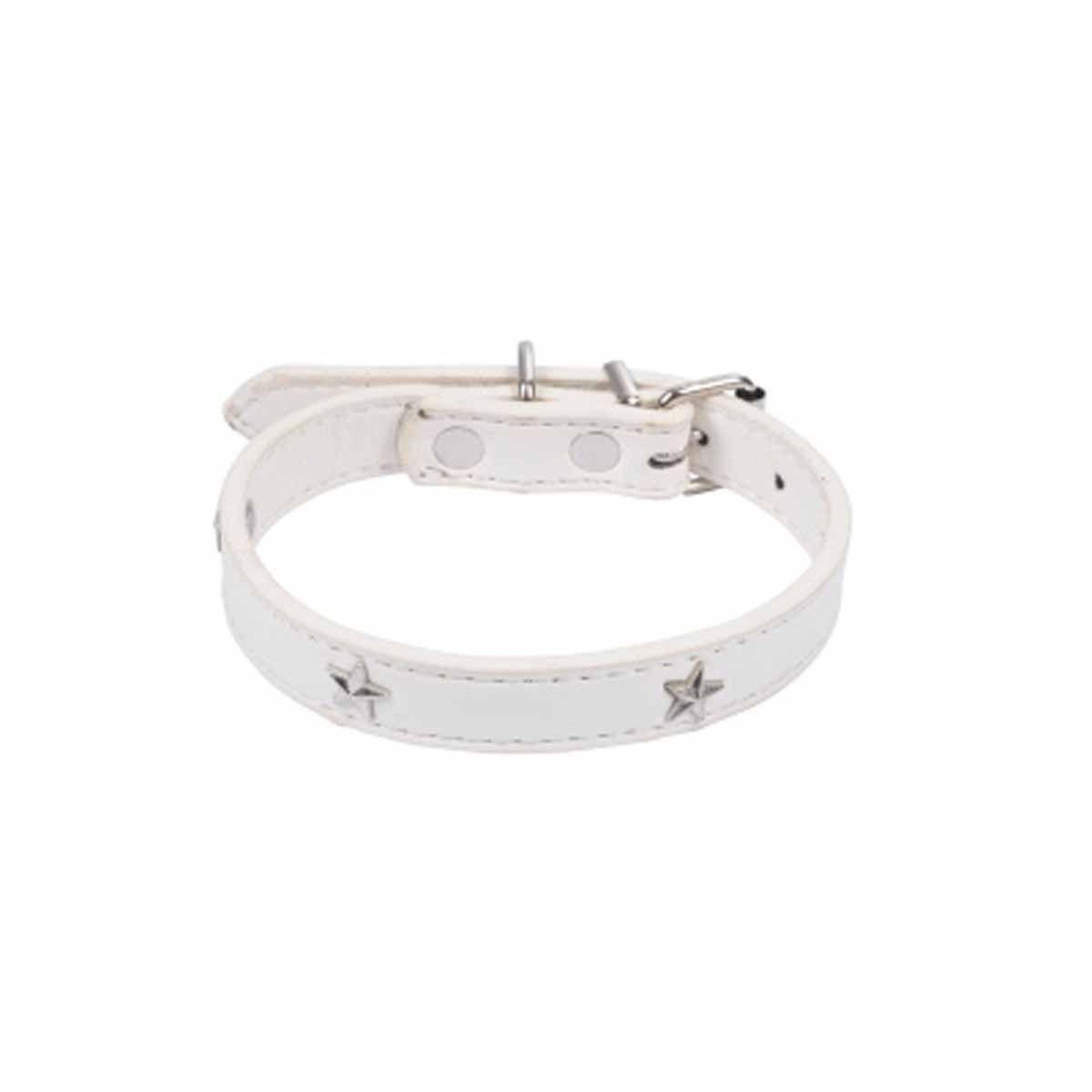 Voir la diapositive 2 : HOMEA Collier fantaisie pour chien  étoiles  35cm blanc