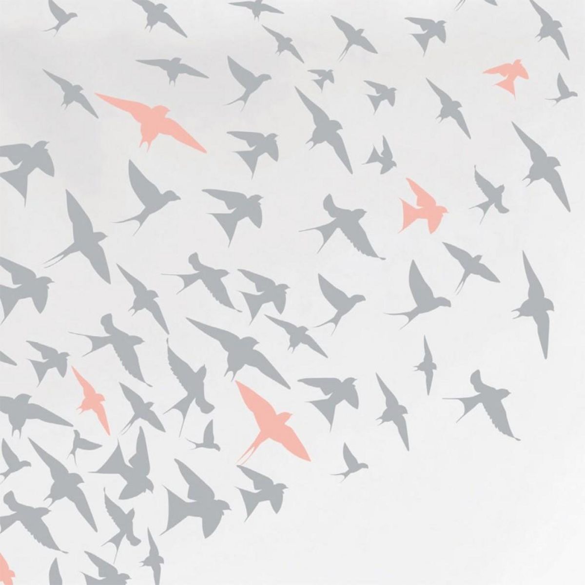 Dourev Housse de couette 240x220 Bird + 2 taies coton 57 fils