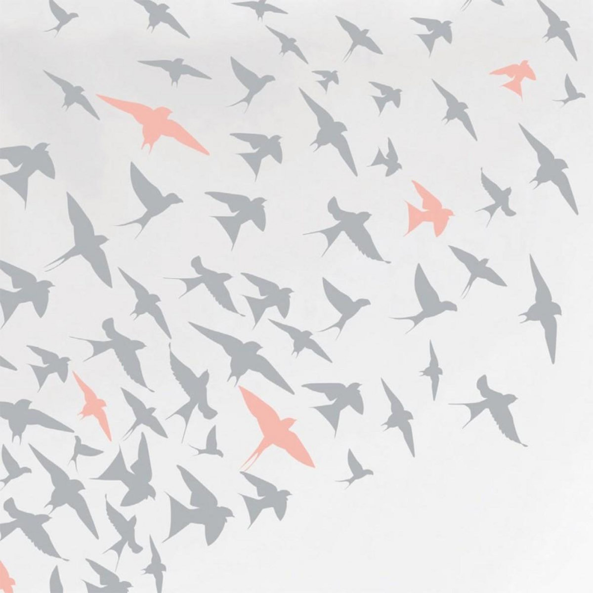 Dourev Housse de couette 240x220 Bird + 2 taies coton 57 fils