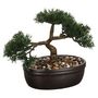 Voir la diapositive 1 : ATMOSPHERA Bonsai artificiel en pot - H. 23 cm