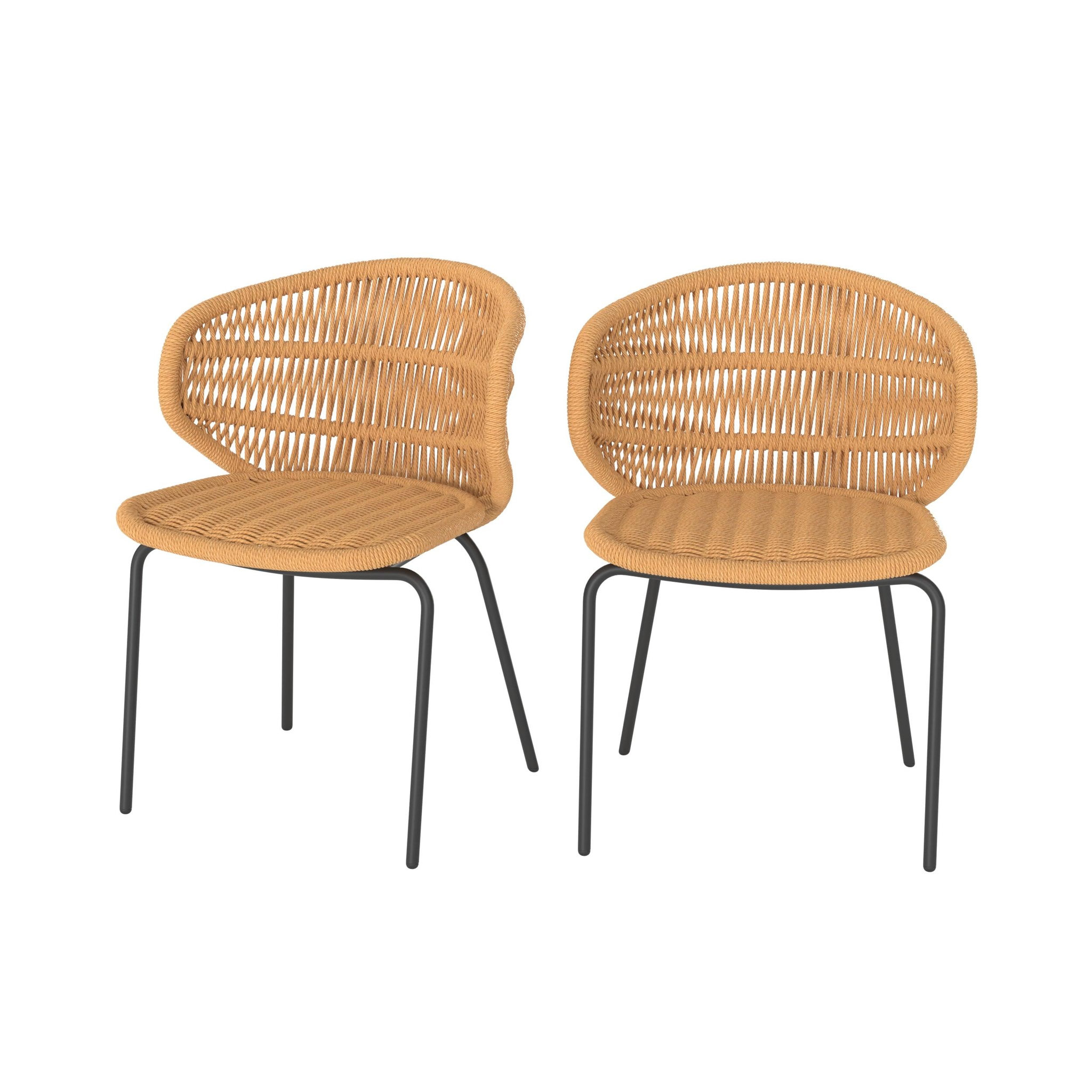 MAISON PAVANE Lot de 2 chaises de jardin en rotin synthétique-lara