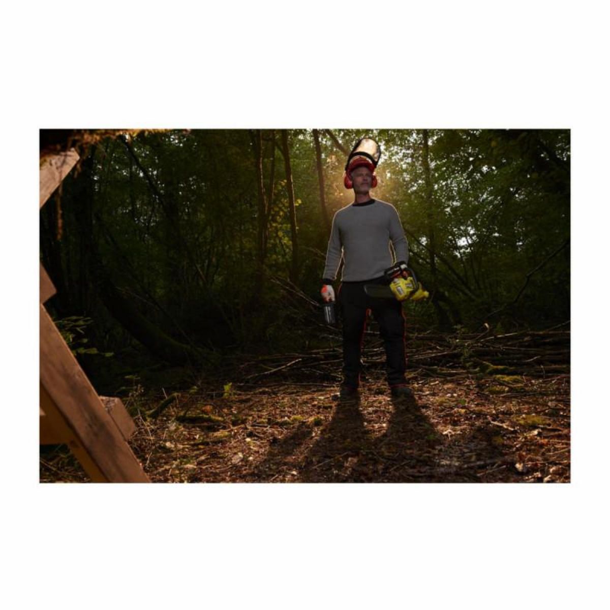 Ryobi Tronçonneuse RYOBI 36V LithiumPlus Brushless - 1 batterie 5.0Ah - 1 chargeur RY36CSX35A-150