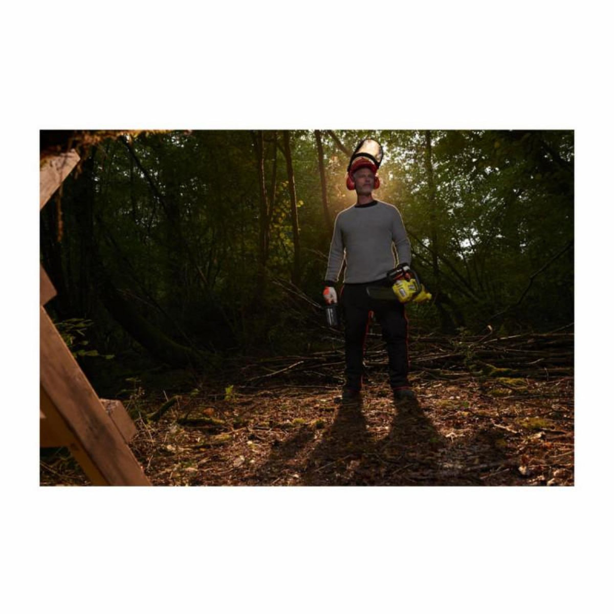 Ryobi Tronçonneuse RYOBI 36V LithiumPlus Brushless - 1 batterie 5.0Ah - 1 chargeur RY36CSX35A-150