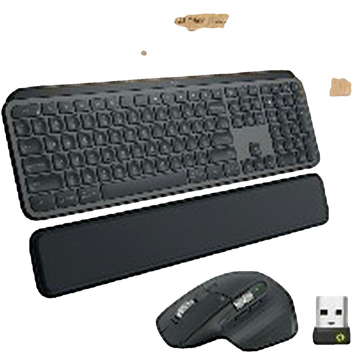 Logitech Combo clavier et souris Logitech MX Keys pour entreprise - sans fil, Bluetooth, QWERTZ, graphite