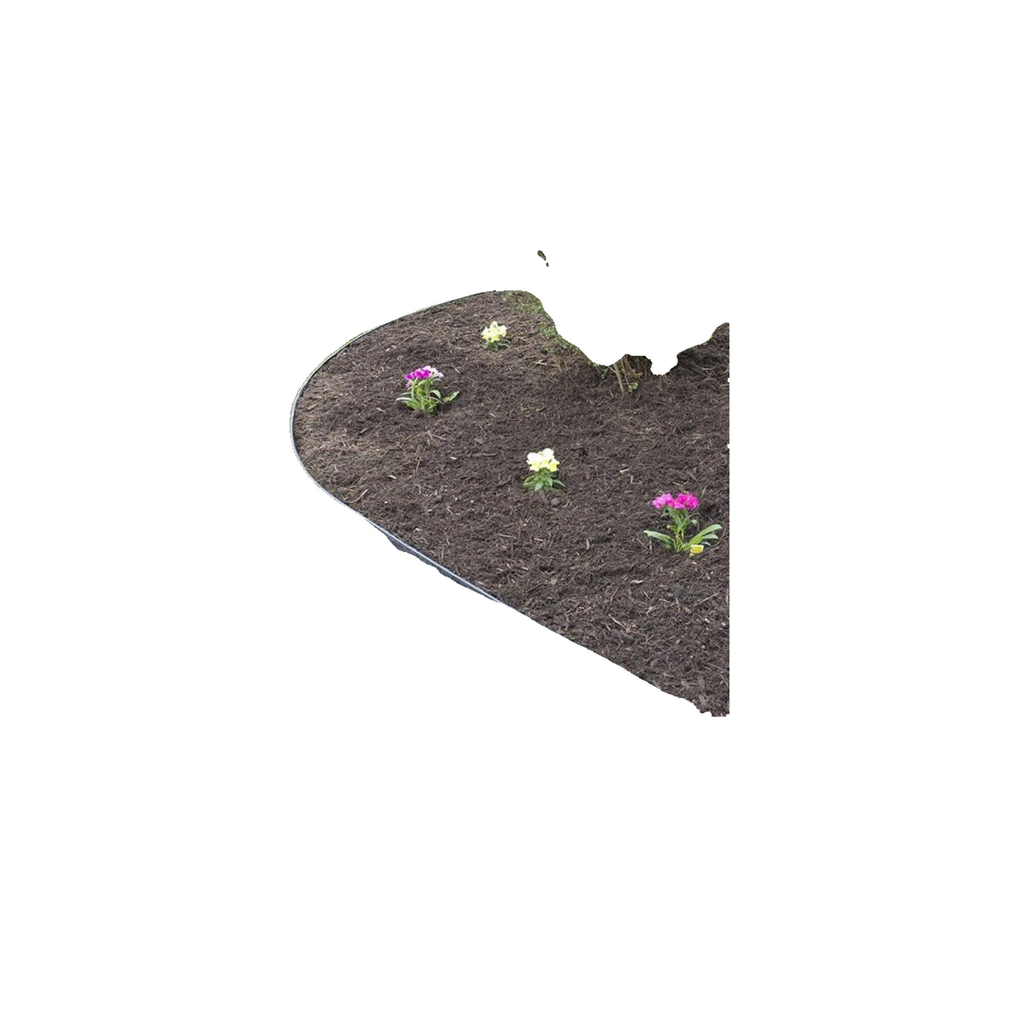 Voir la diapositive 6 : Cellfast Bordure de jardin Cellfast 30-260 1 m noire
