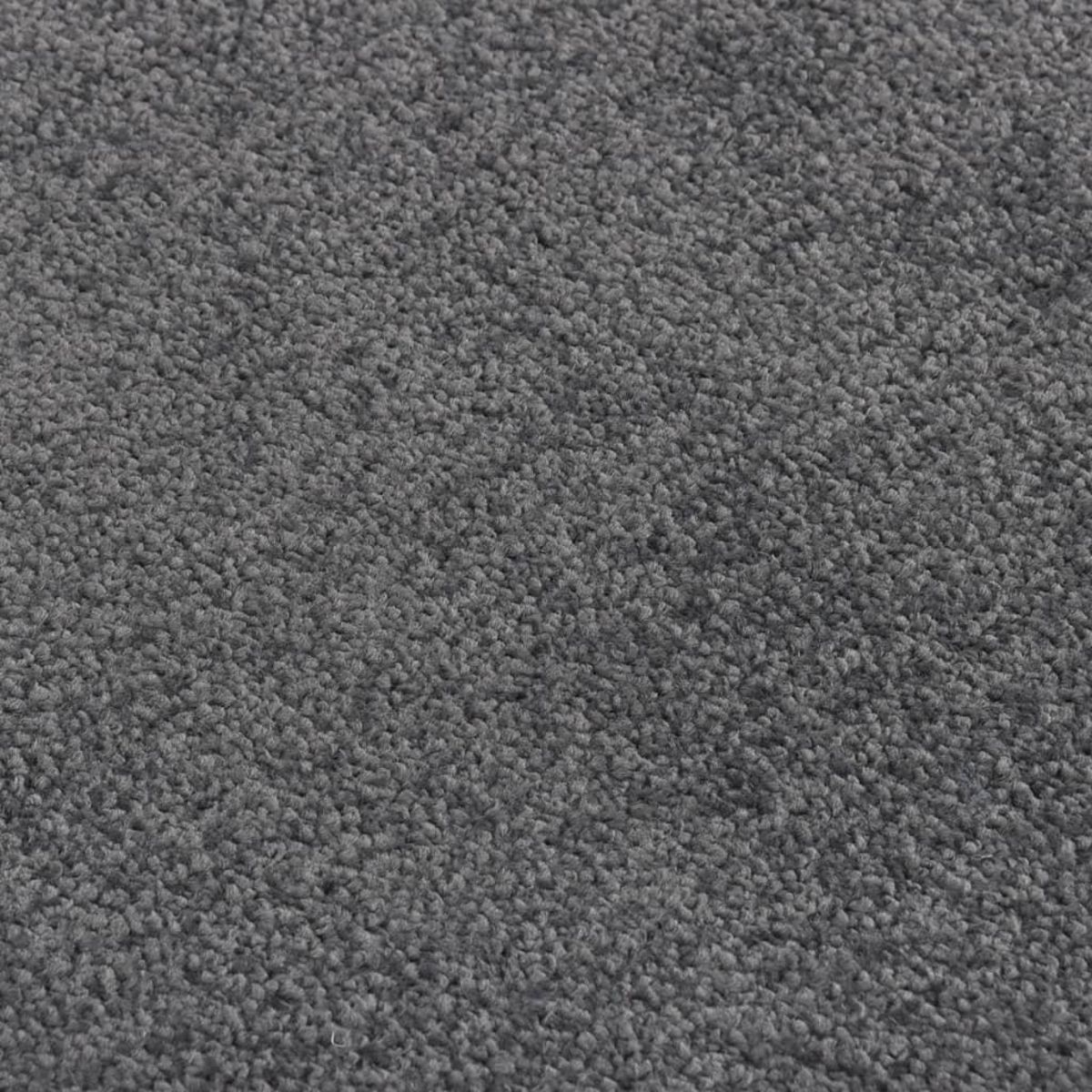 VIDAXL Paillasson Anthracite 60x80 cm