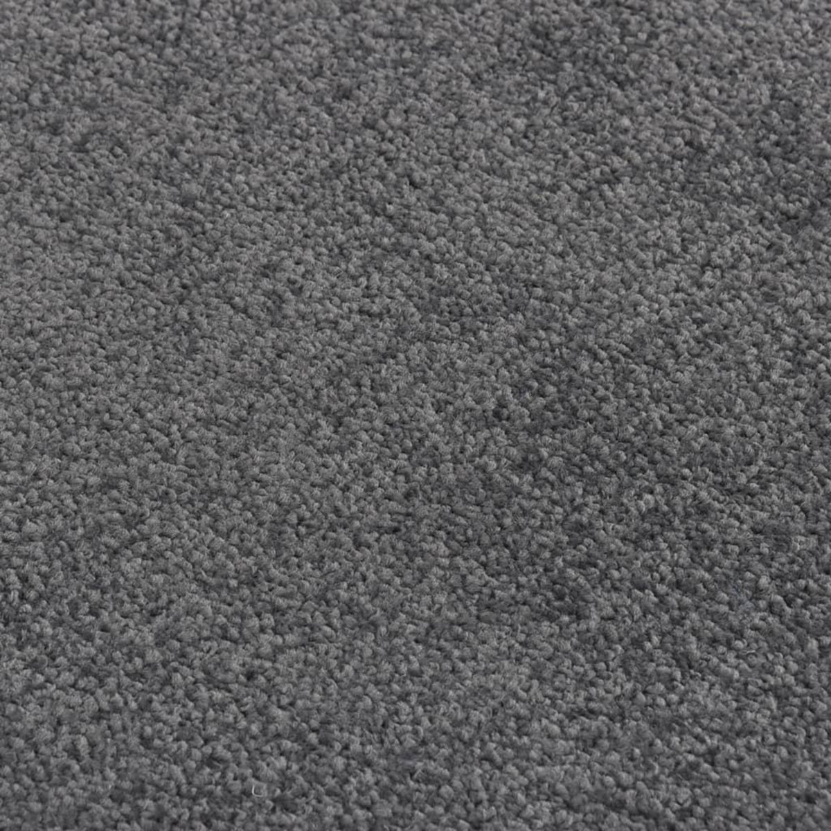 VIDAXL Paillasson Anthracite 60x80 cm