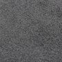 Voir la diapositive 5 : VIDAXL Paillasson Anthracite 60x80 cm