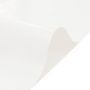 Voir la diapositive 4 : VIDAXL Bache blanc 3x6 m 600 /m²