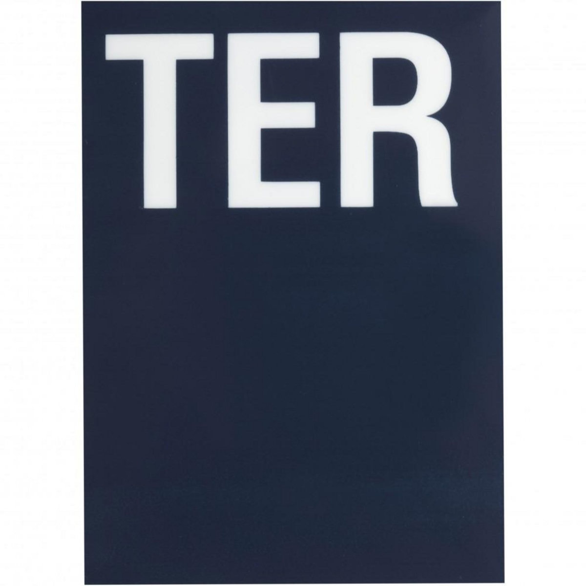 CENTRALE BRICO Lettre ter en plastique