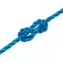 VIDAXL Corde de travail Bleu 3 mm 250 m Polypropylene