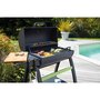 Voir la diapositive 1 : COOK'IN GARDEN Barbecue charbon de bois grill plancha TONINO