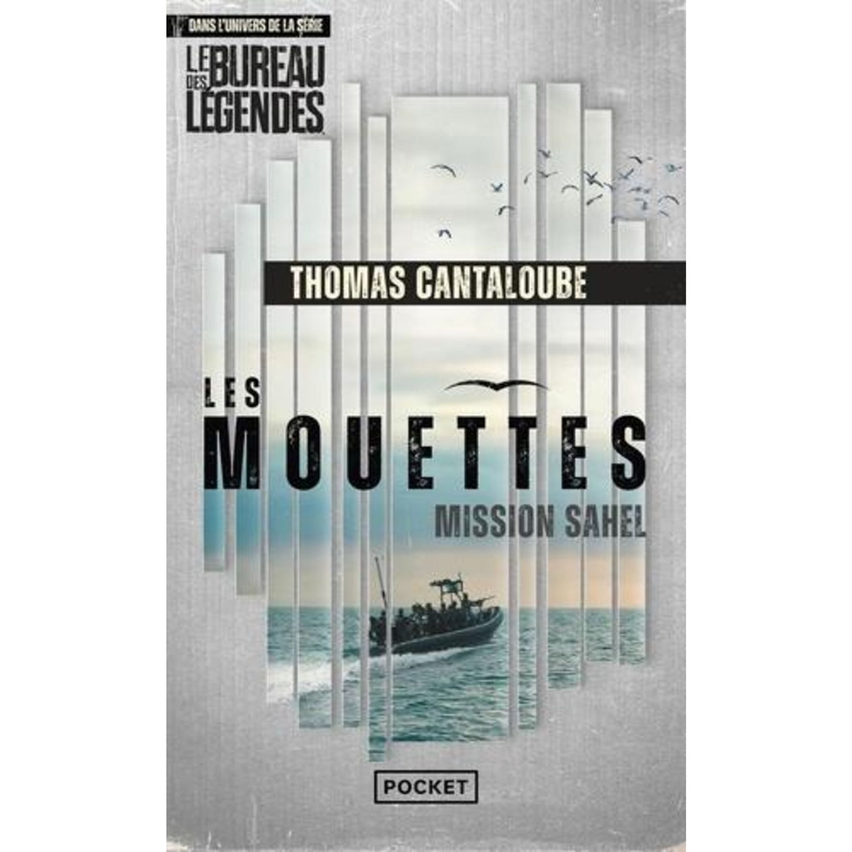LES MOUETTES : MISSION SAHE, Cantaloube Thomas
