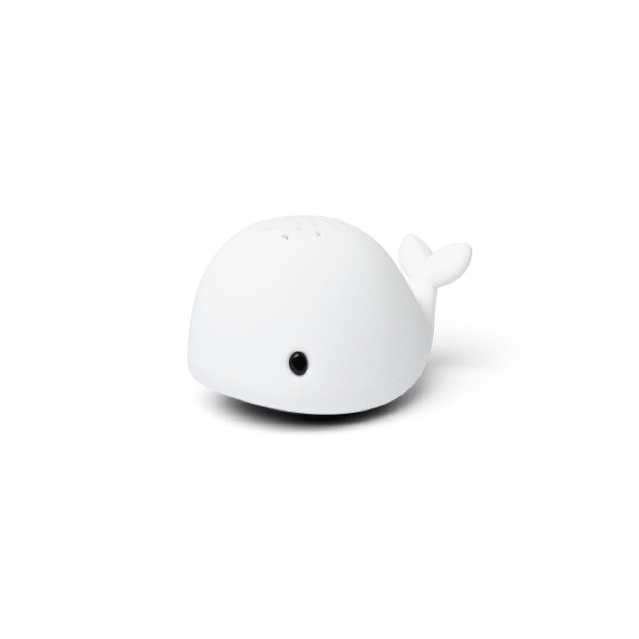 LITTLE L Wilda whale projector
