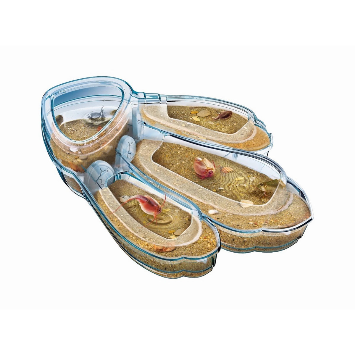 CLEMENTONI Les Triops