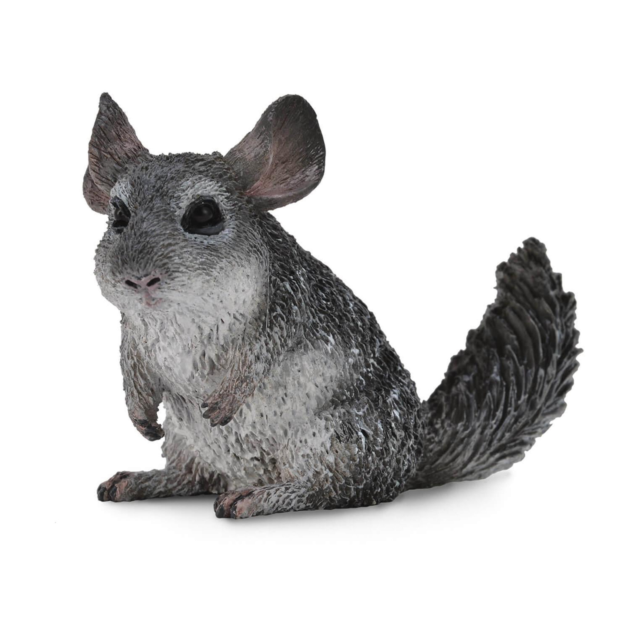 Figurines Collecta Figurine Animaux Sauvages (M): Chinchilla À Longue Queue
