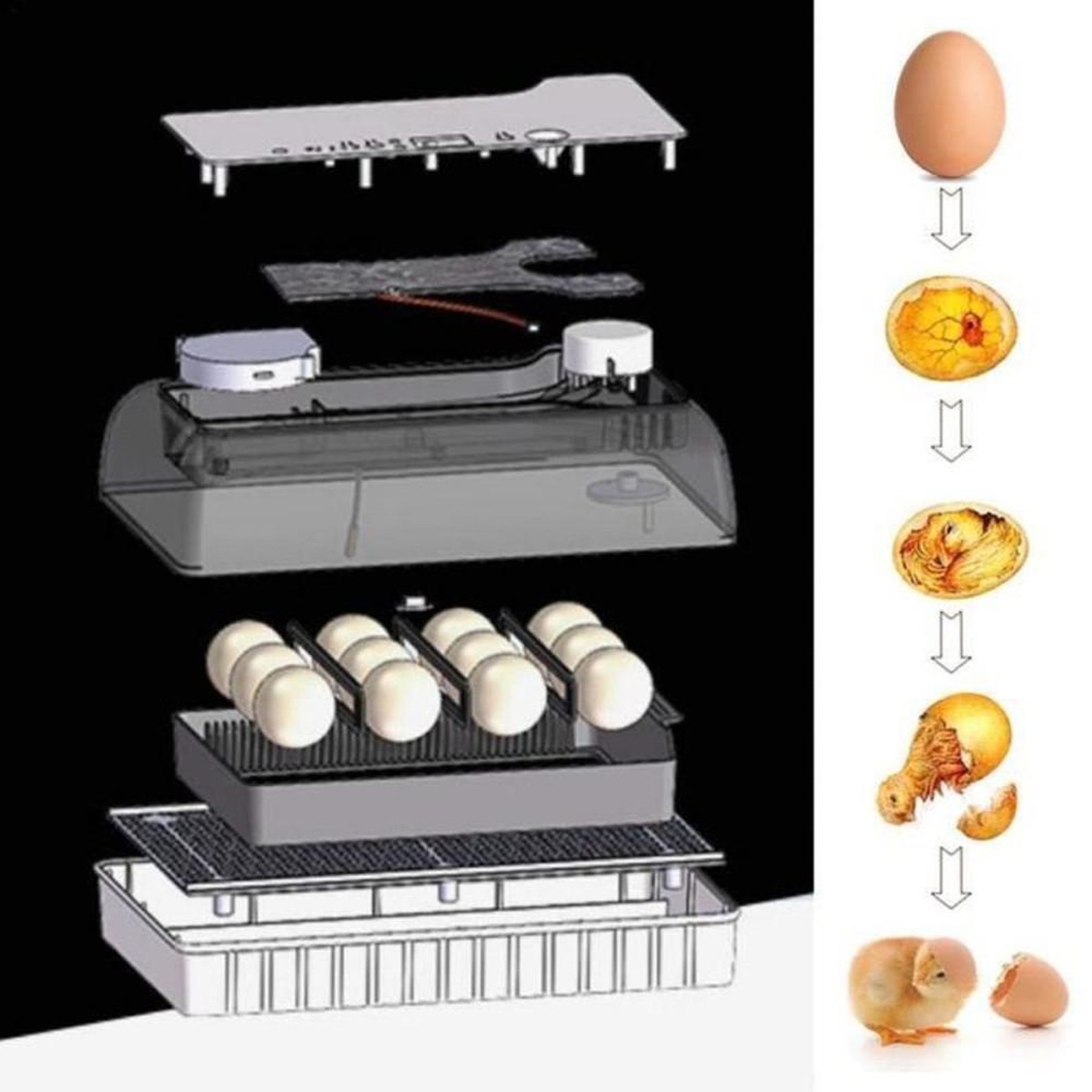 Voir la diapositive 3 : Couveuse automatique d'œufs avec éclairage LED dirigé et rotation automatique 12 œufs max, noir/gris, ABS
