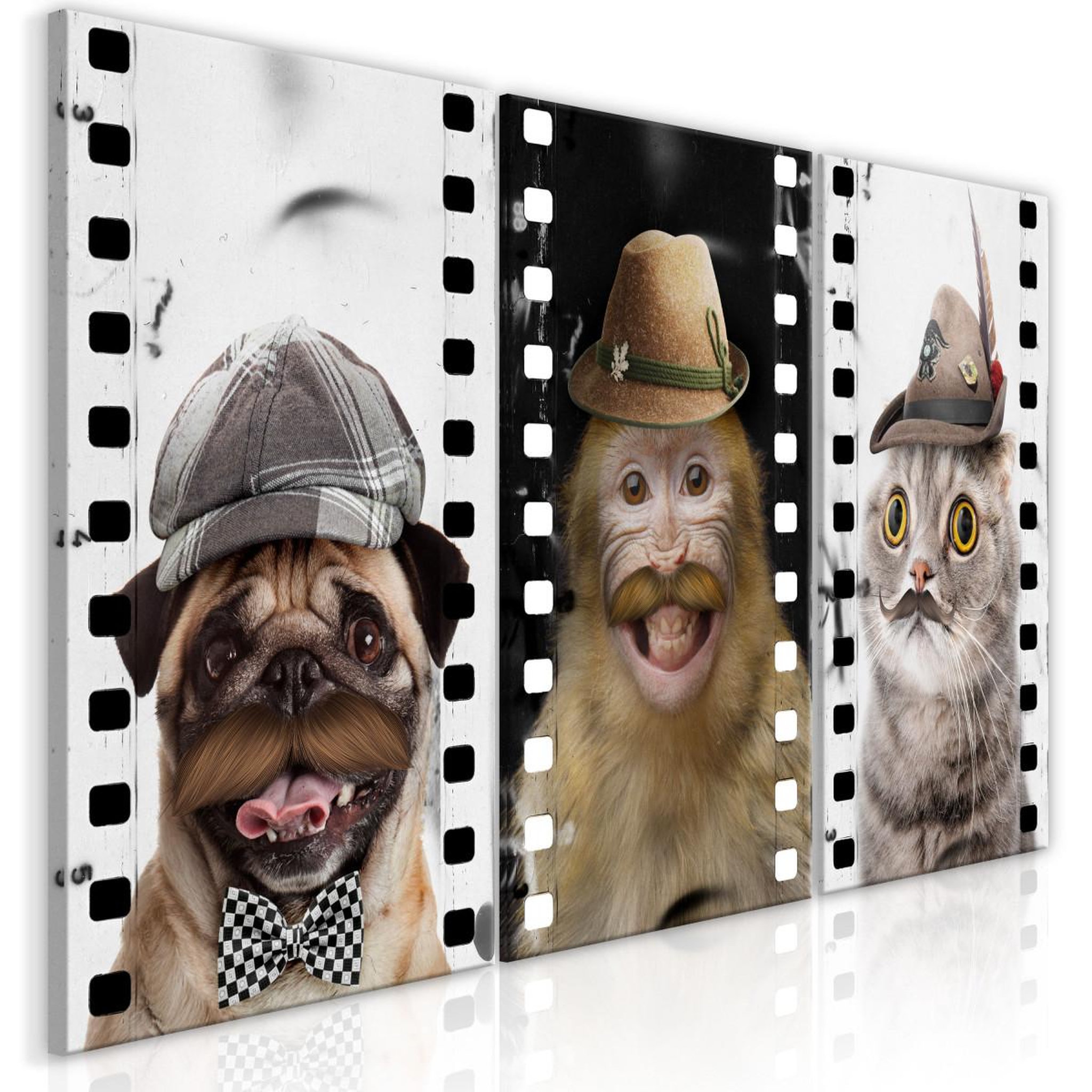 Paris Prix Tableau imprimé  funny pets collection. Coloris disponibles : Multicolore